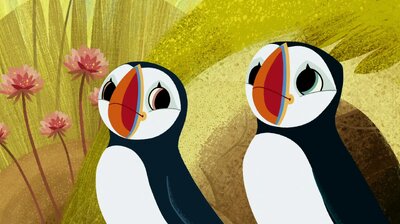 Spot the Puffin