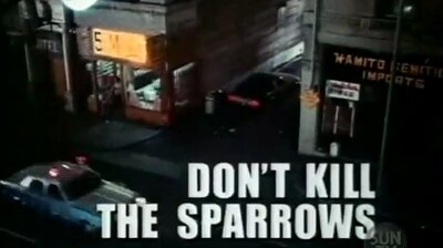Don't Kill the Sparrows