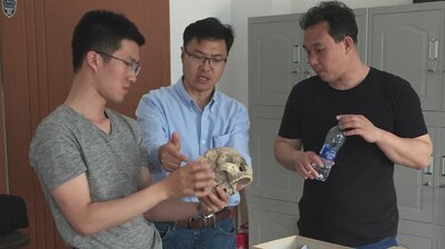 Skulls of the Gods