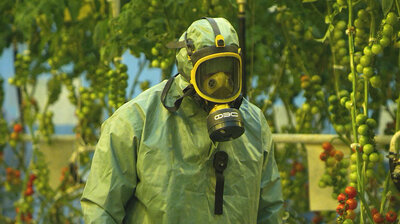 Овощное танго