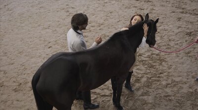 ¿Quieres ser mi esposa?