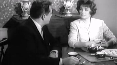 The Case of the Potted Planter - Perry Mason 6x27 | TVmaze