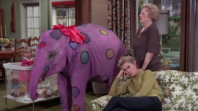 Bewitched S03E15
