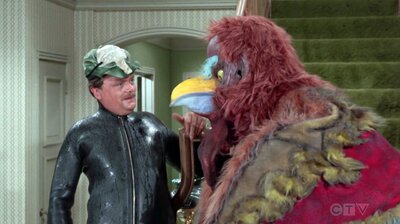 Bewitched S04E11