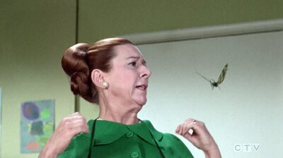 Bewitched S05E11