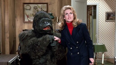 Darrin Goes Ape