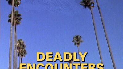 Deadly Encounters (1)