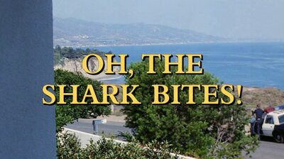 Oh, the Shark Bites!