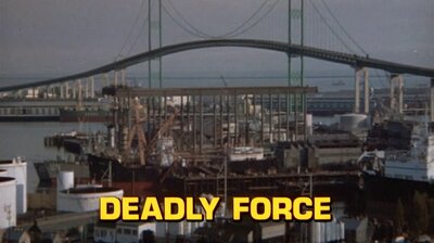 Deadly Force