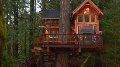 Apres Skihouse Treehouse