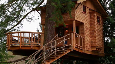 Treehouse Point 2.0