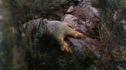 The Silurians, Part Two