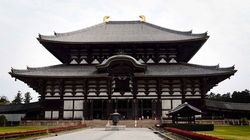 Nara: Ancient Sanctuary for All Living Creatures