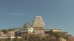 Pure Himeji Beautiful Castle City, Craftsman Culture