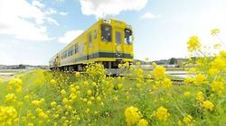 A DAY-TRIP FROM TOKYO PT.2 Slow Train in Springtime Chiba