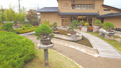 The Miniature World of Bonsai - Omiya