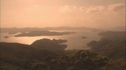 The Soulful Rhythms of the Amami Islands