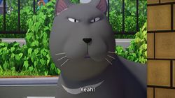 Chi's Lesson Memories, Part 1