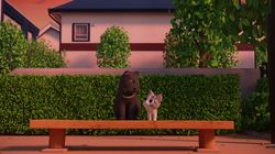 Chi's Lesson Memories, Part 2