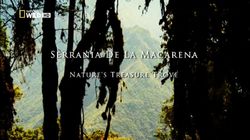 Serrania De La Macarena: Nature's Treasure Trove