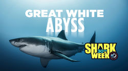 Great White Abyss