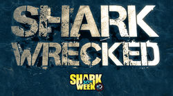 Sharkwrecked