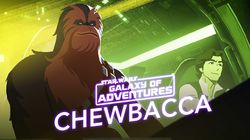 Chewbacca - The Trusty Co-Pilot