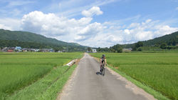Niigata - The Deep Green of Summer