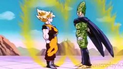 Conclusion to the Death Match! Time for Goku's Decision
