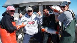 Alaska's Salmon Fishermen