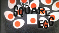 The Square Egg