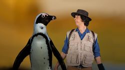 Andy and the African Penguins