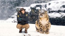 Andy and the Snow Leopard