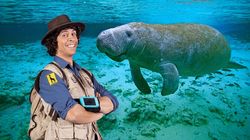 Andy and the Manatee