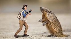 Andy and the Armadillo