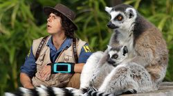 Andy and the Ring-Tailed Lemurs