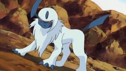 Absol-ute Disaster