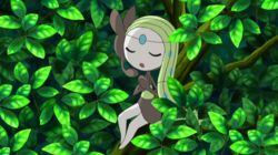 All for the Love of Meloetta!