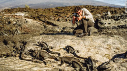 Galapagos: A Fight for Survival