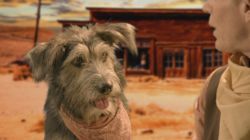 Movie Star Dogs & Hounds and Horses