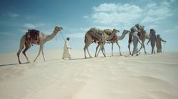 Taming the Desert