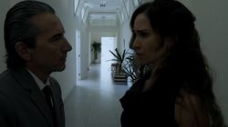 A Violência Aumenta o Tom