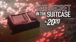 The Secret in the Suitcase