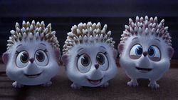 Hedgehog Sitters Club