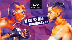 UFC Fight Night 173: Brunson vs. Shahbazyan