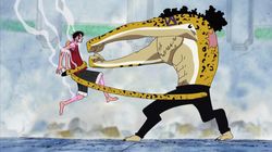 Feelings Put Into Fists! Luffy's Full-Power Gatling