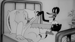 The Daffy Doc