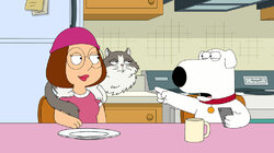 Family Guy - S19E19 - Family Cat Family Cat Thumbnail