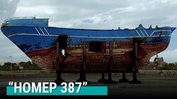 Поисковые отряды и «Номер 387»