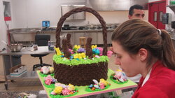 Easter Basket Case